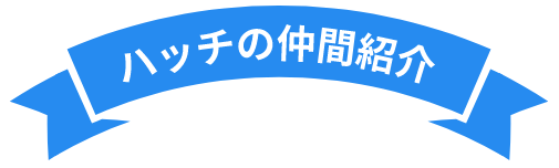 買取ハッチ